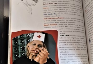 imagem_8