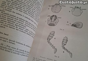 imagem_8