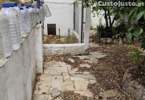 imagem_11