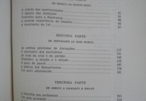 imagem_8