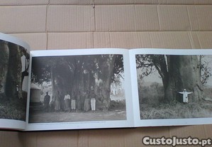 imagem_6