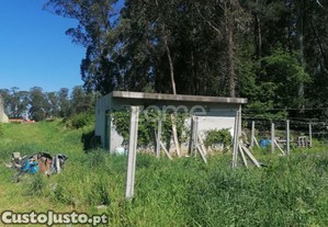 Terreno Rústico Com 5.670 M2 Em Fradelos V.N....