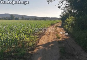 Terreno Agrícola Com 3.600 M2 Em Fradelos...