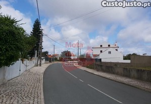 imagem_7