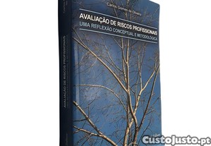 Avaliação de riscos profissionais (Uma reflexão conceptual e metodológica) - Carlos Gomes de Oliveira