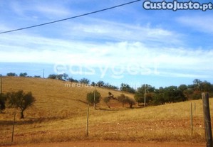 imagem_20