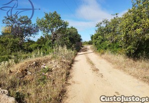 imagem_3