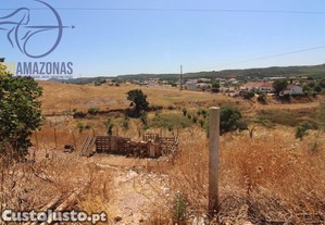 imagem_13