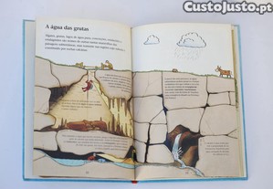 imagem_6