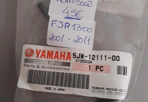 Válvula de admissão - Yamaha FJR 1300