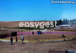 imagem_6