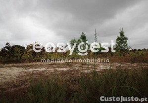 imagem_6
