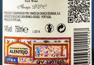 imagem_2