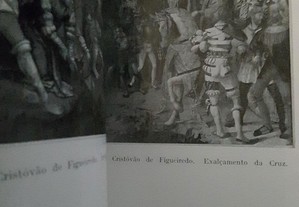 imagem_6