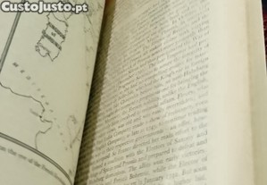 imagem_3