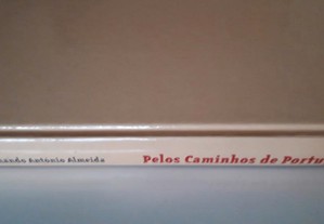 imagem_7