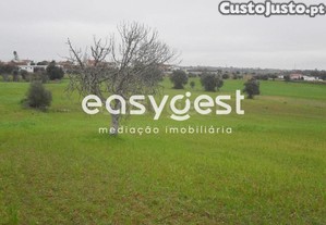 imagem_8