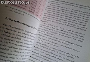 imagem_8
