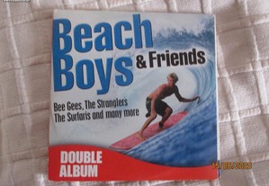 Duplo CD de Beach Boys & friends