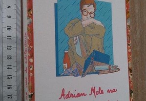 Adrian Mole na Crise da Adolescência - Sue Townsend