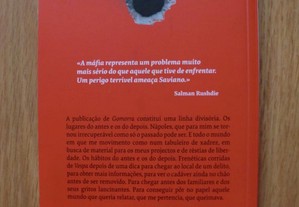 imagem_2