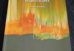 Livro Pedro Calapez Cada Pedaço do Mundo João Pinharanda Caminho