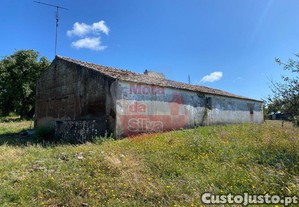 imagem_8