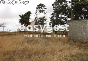 imagem_12