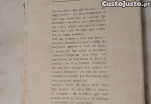 imagem_5