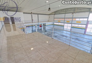 imagem_15