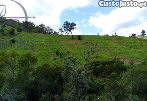 imagem_13
