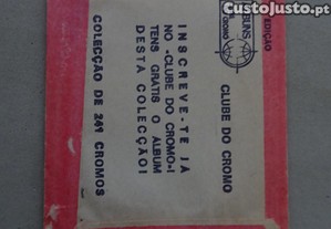 imagem_2