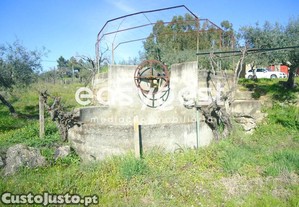 imagem_7