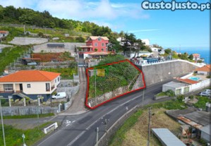 imagem_2
