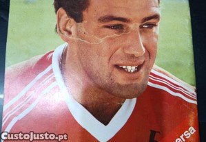 imagem_3