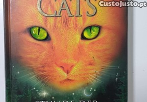 imagem_3