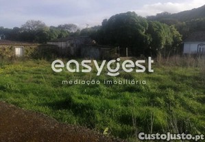 imagem_12
