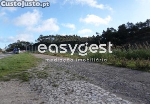 imagem_8