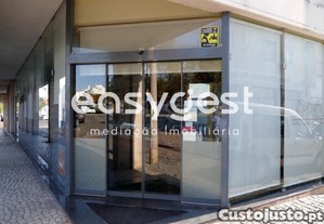 imagem_19
