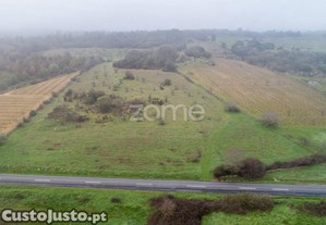 Terreno Agrícola Com 4 Hectares, Vila Nova De...