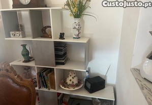 imagem_1
