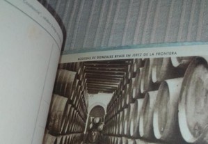 imagem_6