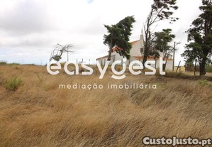 imagem_14