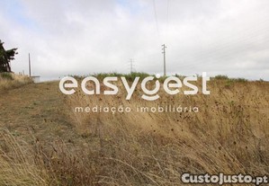 imagem_10