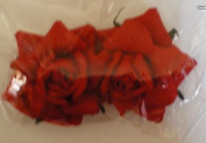 imagem_4