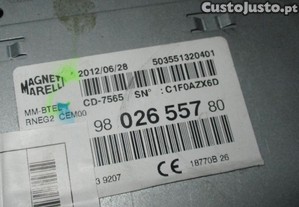 imagem_2