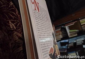 imagem_4