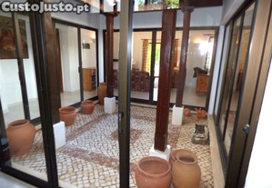 imagem_11