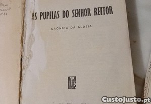 imagem_7