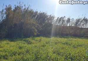 Terreno em Ferrel de 1200,00 m²